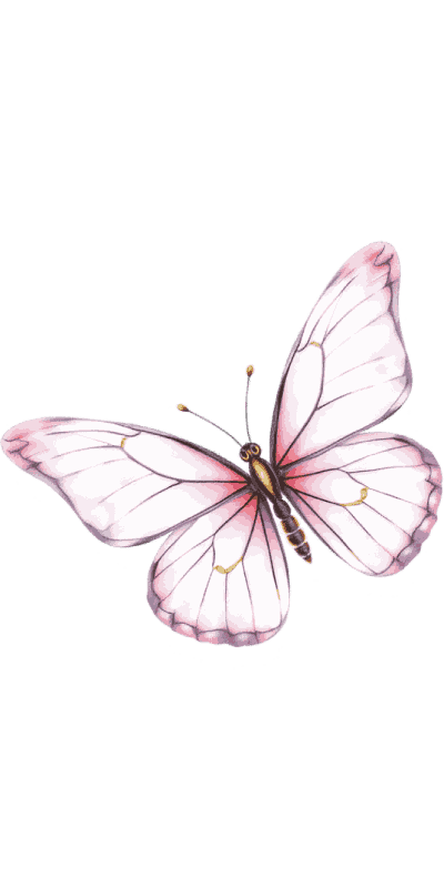 Ilustración artística de una mariposa.